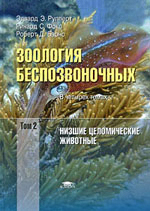 �������� �����. �������� ��������������. ������������ ������ ������