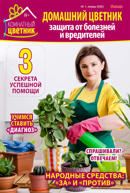 ��������� ������� (������). �������� ������ /������/