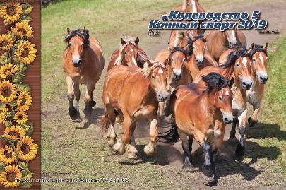 ����������� � ������ �����