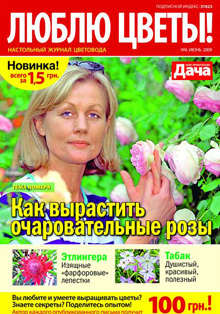 ����� �����!