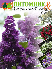 �������� � ������� ��� (������). �������� ������