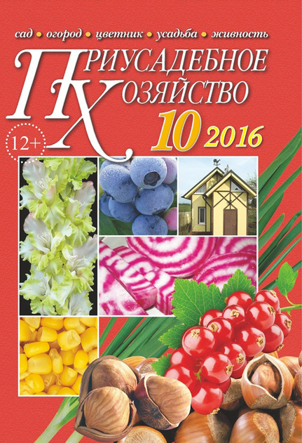 ������������ ��������� (������). �������� ������