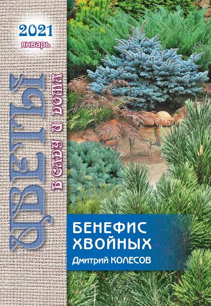 ������������ ��������� � ����������� "����� � ���� � ����&qu...