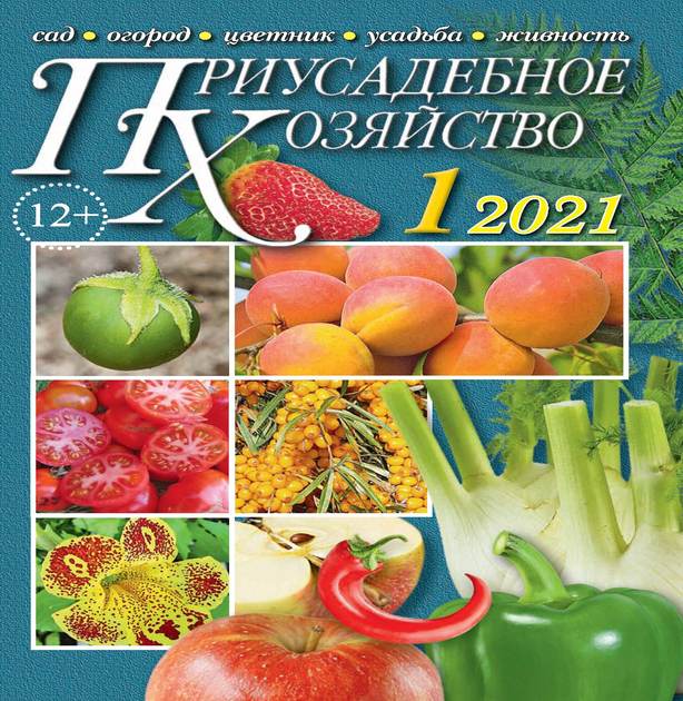 ������������ ��������� � ������������ "����� � ���� � ����&q...