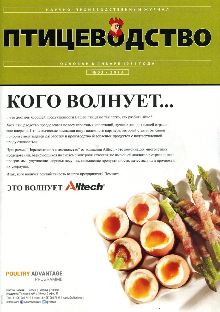 ������������ (������). �������� ������