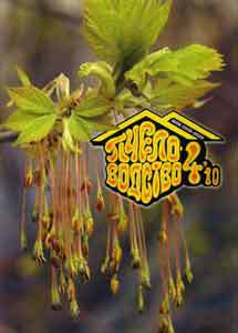 ������������ (������). �������� ������