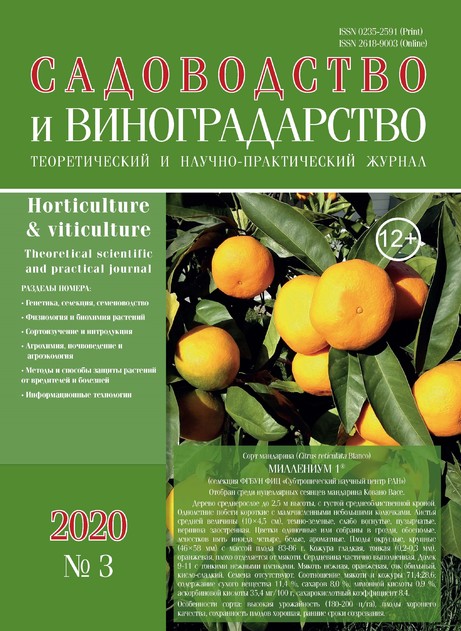 ����������� � �������������� (������). �������� ������