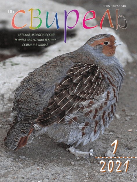 �������. ��������������� ������ (������). �������� ������