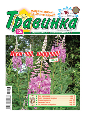 �������� (������). �������� ������