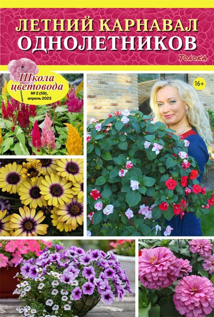 ����� ��������� (������). �������� ������ /������/