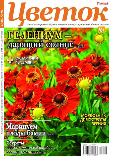 ������ + ����� ���������. �������� (������). �������� ������