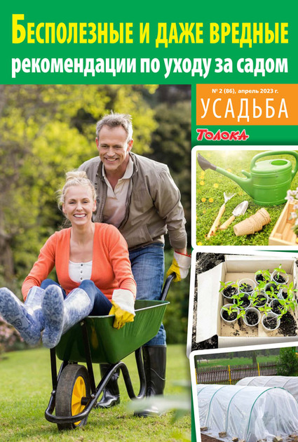 ������� (������). �������� ������ /������/