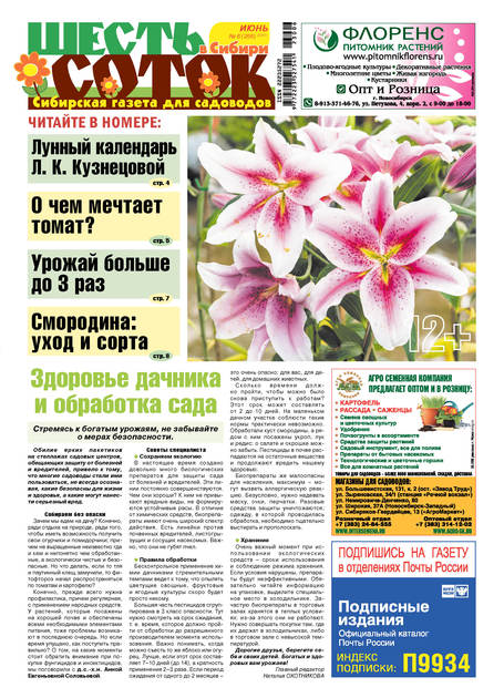 ����� ����� � ������ (������). �������� ������