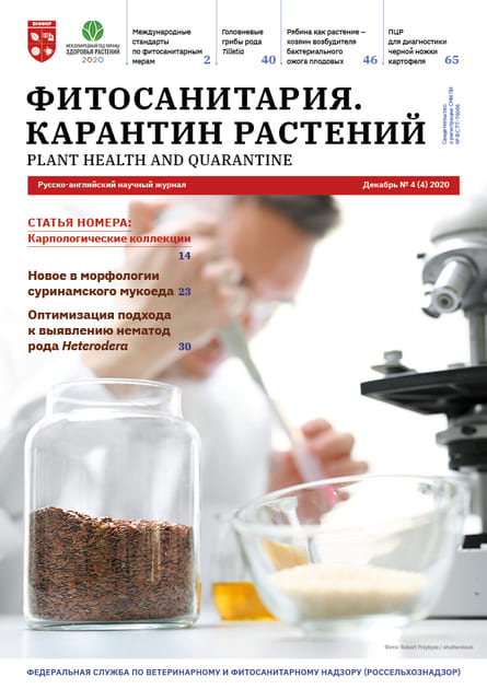 �������������. �������� �������� (������). �������� ������