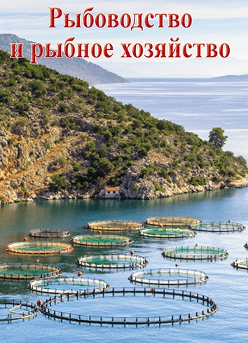 ����������� � ������ ��������� (������). �������� ������